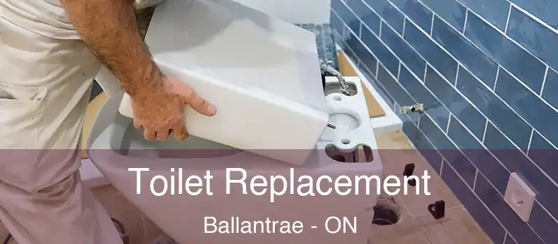  Toilet Replacement Ballantrae - ON