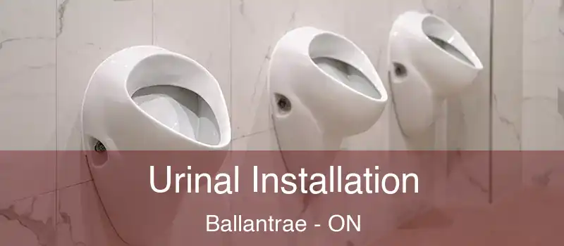  Urinal Installation Ballantrae - ON
