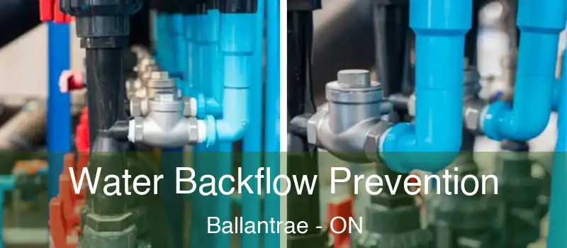  Water Backflow Prevention Ballantrae - ON