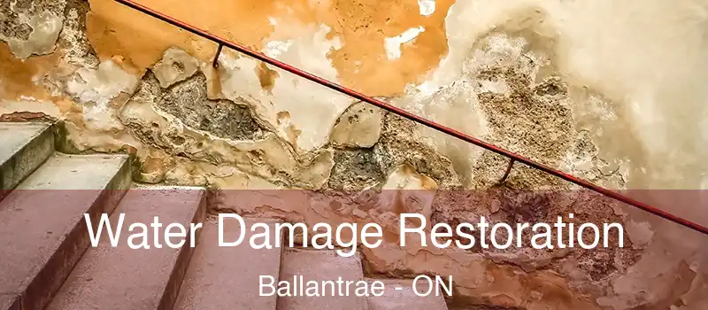  Water Damage Restoration Ballantrae - ON