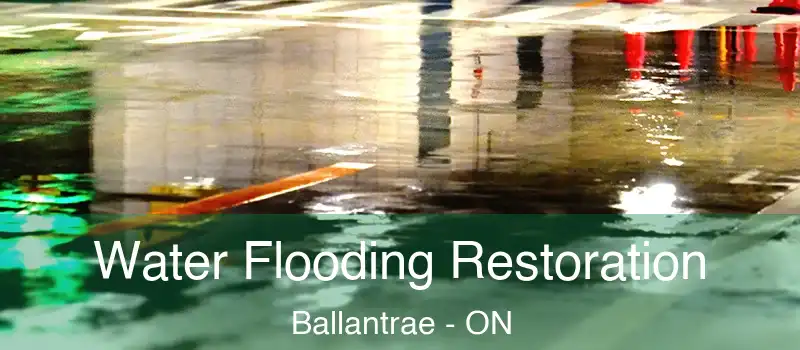  Water Flooding Restoration Ballantrae - ON