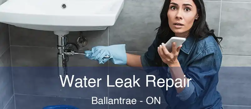  Water Leak Repair Ballantrae - ON