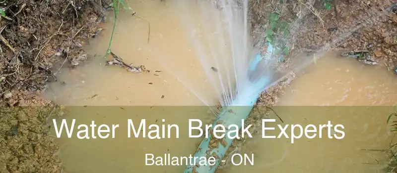  Water Main Break Experts Ballantrae - ON