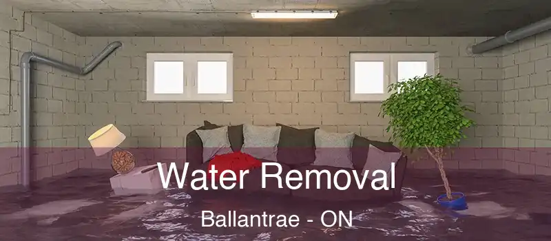  Water Removal Ballantrae - ON